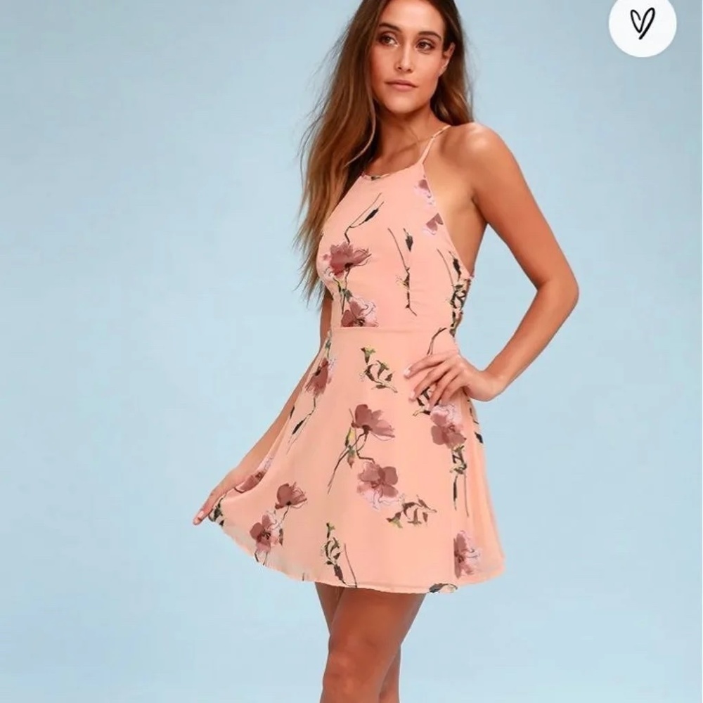 Lulu's Cherished Moment Blush Pink Floral Print Lace-Up Skater Dress